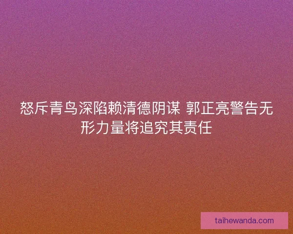 怒斥青鸟深陷赖清德阴谋 郭正亮警告无形力量将追究其责任