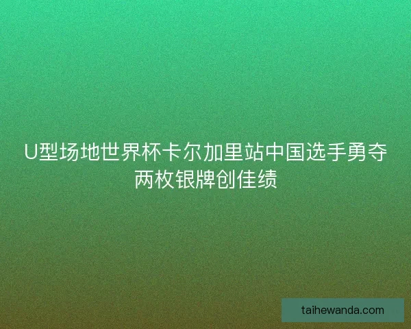 U型场地世界杯卡尔加里站中国选手勇夺两枚银牌创佳绩